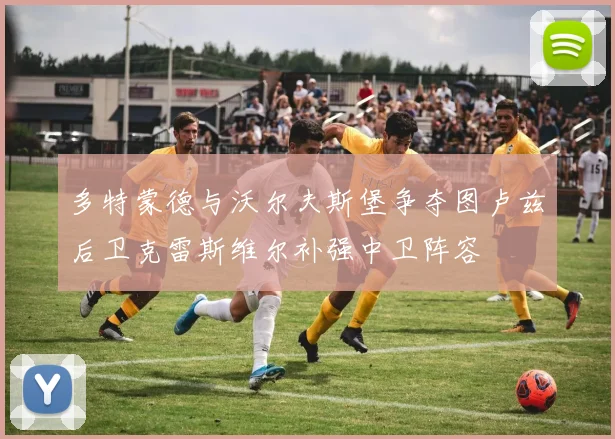 多特蒙德与沃尔夫斯堡争夺图卢兹后卫克雷斯维尔补强中卫阵容